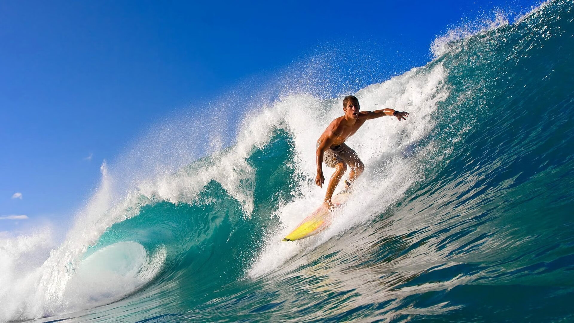 全球车迷狂欢夜:F1赛场现场直击,f1汽车比赛